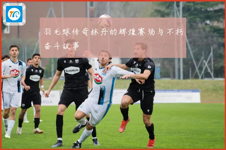 羽毛球传奇林丹的辉煌赛场与不朽奋斗故事
