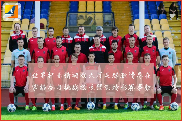世界杯竞猜游戏大厅足球激情尽在掌握参与挑战极限预测精彩赛事数据研判